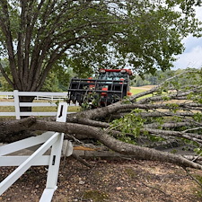 Tree-Debris-Removal-Storm-Cleanup-in-Oxford-MS 3